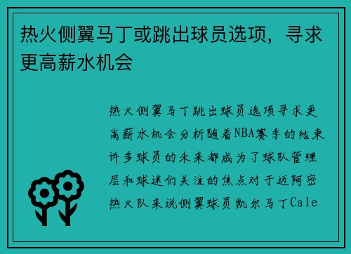 热火侧翼马丁或跳出球员选项，寻求更高薪水机会