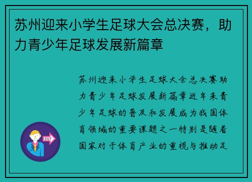 苏州迎来小学生足球大会总决赛，助力青少年足球发展新篇章