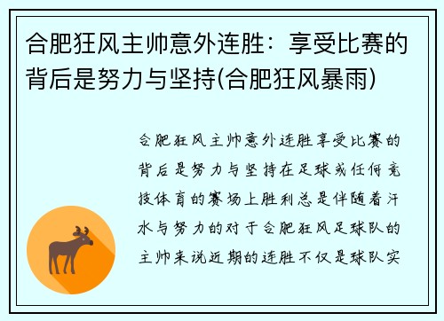 合肥狂风主帅意外连胜：享受比赛的背后是努力与坚持(合肥狂风暴雨)